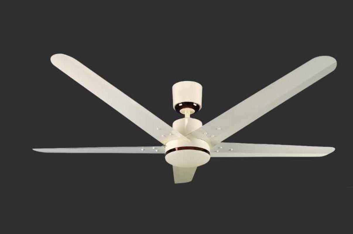 Smart BLDC Fan 5 Blade - Half White