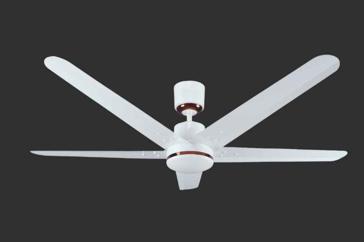 Smart BLDC Fan 5 Blade - White