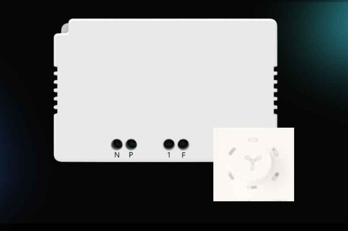 Nexa 1+1 Switch V2